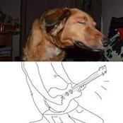 Roberto Sauceda's photo