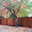 Woodguard
