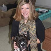 Julie Knapp Stevenson's photo