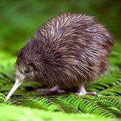 Cathy Bell's photo