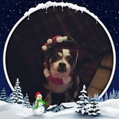 Barbara Enright's photo