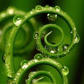 Koru McKinley's photo