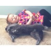 Dani Moore's photo