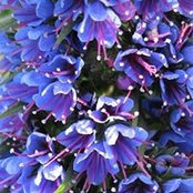 Heidi Loosen's photo