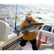 Kenneth Lahr's photo