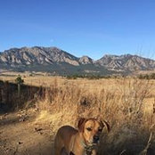 Nancy Eiring's photo