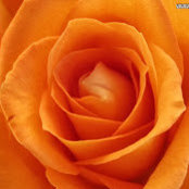 Anju Thomas's photo