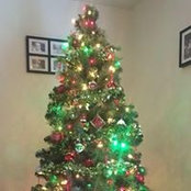 Chris Nell's photo