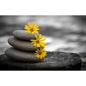 Karen Booth's photo