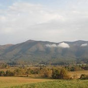 Randi Downes's photo
