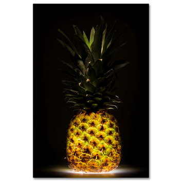Wieteke De Kogel 'Pineapple' Canvas Art, 47 x 30