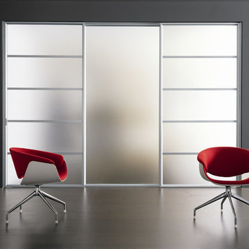 Modern bedroom closset doors with frosted glass