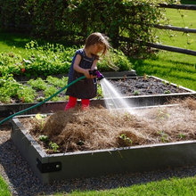 raised bed