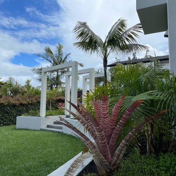 Kohimarama garden establishing