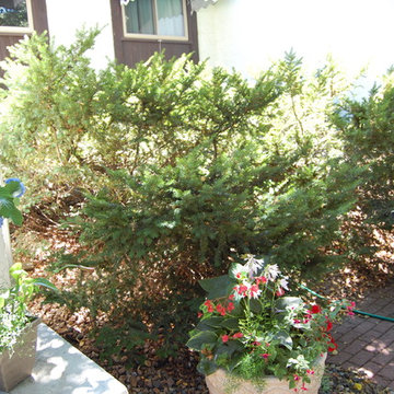 Edina MN Front Entrance Renovation: Seating Area Before