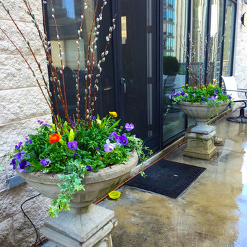 Chicago - Spring annuals 2016