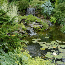 Natural backyard