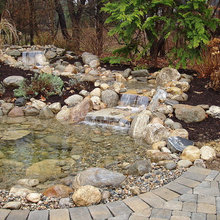 Pond