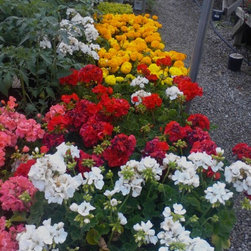 Inventory Samples - Gardening And Lawn Care