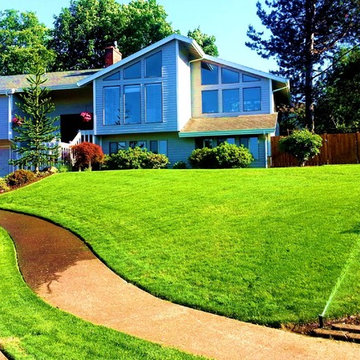 Extreme LandscapeMakeover Turf: "Agroscopic Turf Surgery"