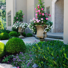Landscape Ideas