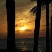 Vince DeMarco's photo