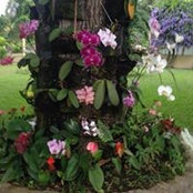 Edith Yolanda Jerónimo Osorio's photo