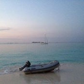 Anne Petosa's photo