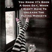 Linda Koltvedt's photo