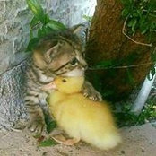 Lisa Emmanuel's photo
