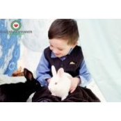 Colleen Shorkey Larkins's photo