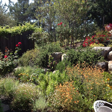 Healdsburg Haven