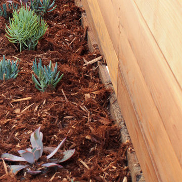 AFTER--Backyard Border