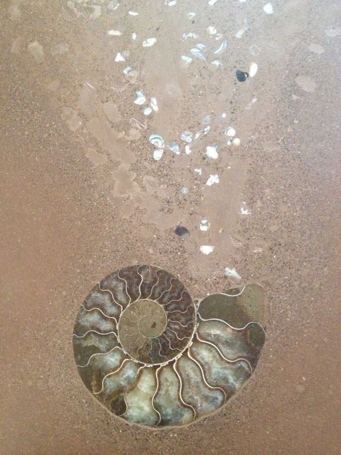 Ammonite inlay with abalone emanations