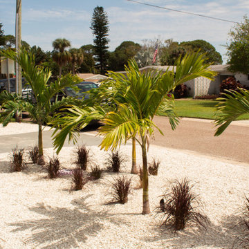 Tropical Design & Installation - South St. Petersburg