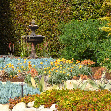 Succulents Replace Tiny Terraced Lawns