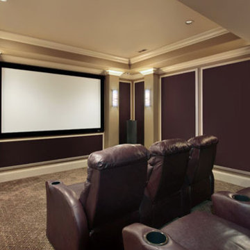 Home Media and Theaters