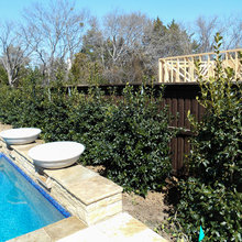 Backyard Landscape