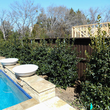 Poolside Landscapes