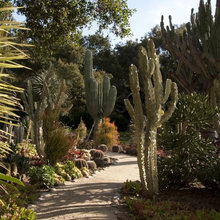 jenniferterran's outside landscape ideas