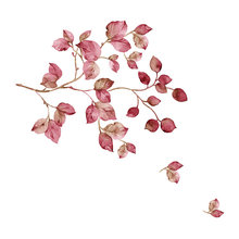 Wall Decals