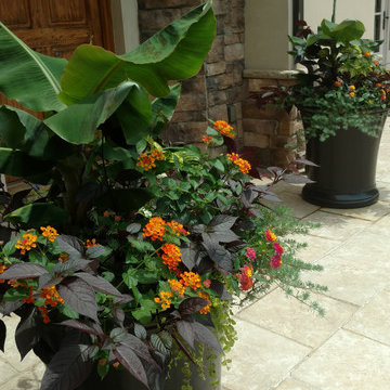 Fabulous Container Gardens