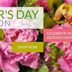 Ben Foster Florist - Products