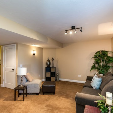 Lower Level Family Room