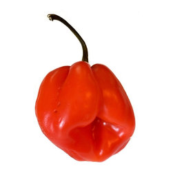 Habanero Love - Photographs