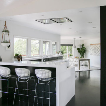 Lake Oswego Modern