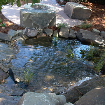Beautiful Waterfall And Koi Pond - Greeley, CO