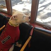 Dan Ferrara Jr.'s photo