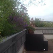 Ruth Arias's photo