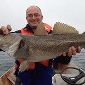 Todd Newhook's photo